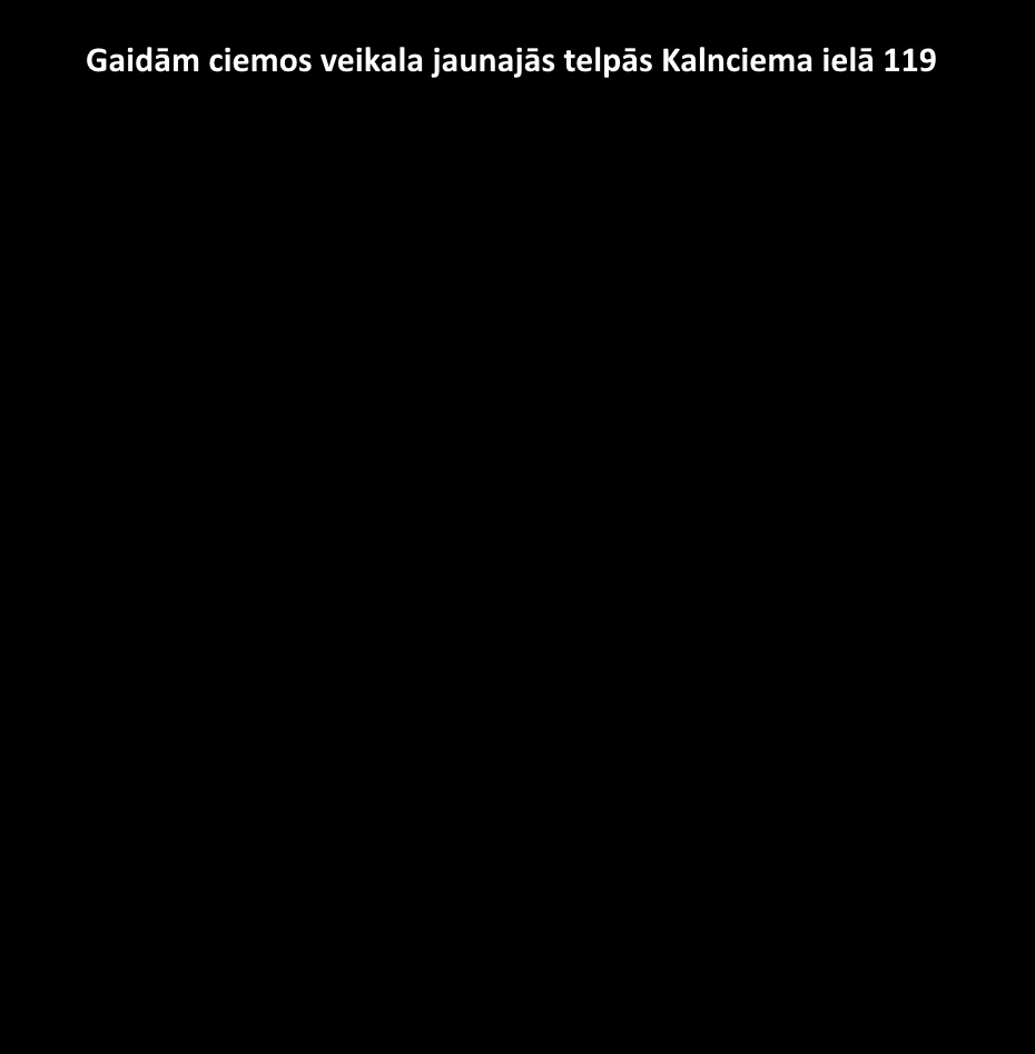 Yonex veikals Kalnciema iela 119